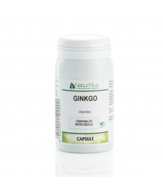 Ginkgo 60 Capsule NaturPlus