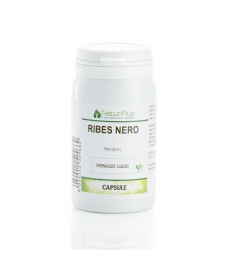 Ribes Nero  60 capsule NaturPlus