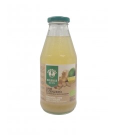 Succo di Lime e Zenzero BIO 500 ml Probios